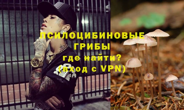 каннабис Арсеньев
