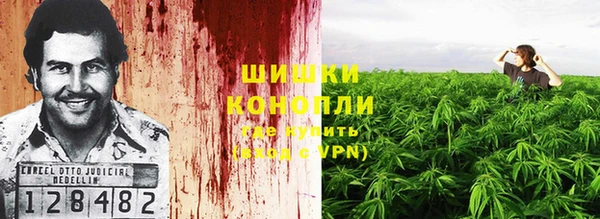 каннабис Арсеньев
