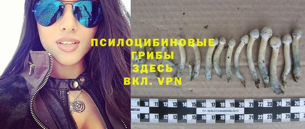 каннабис Арсеньев
