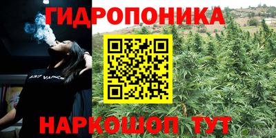 бошки Славгород