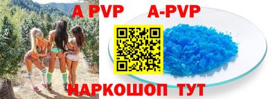 бошки Славгород