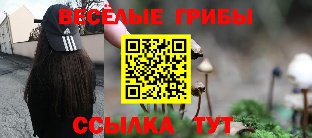 Фролово  Галлюциногенные грибы ЛСД  закладки  Вход с VPN  Галлюциногенные грибы мицелий 